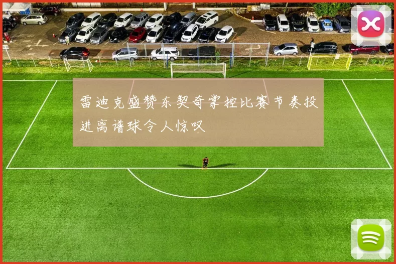 雷迪克盛赞东契奇掌控比赛节奏投进离谱球令人惊叹